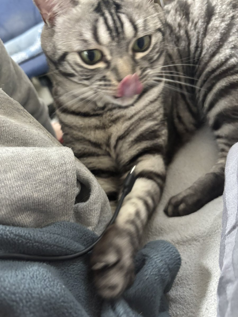 sugisansan tweet media