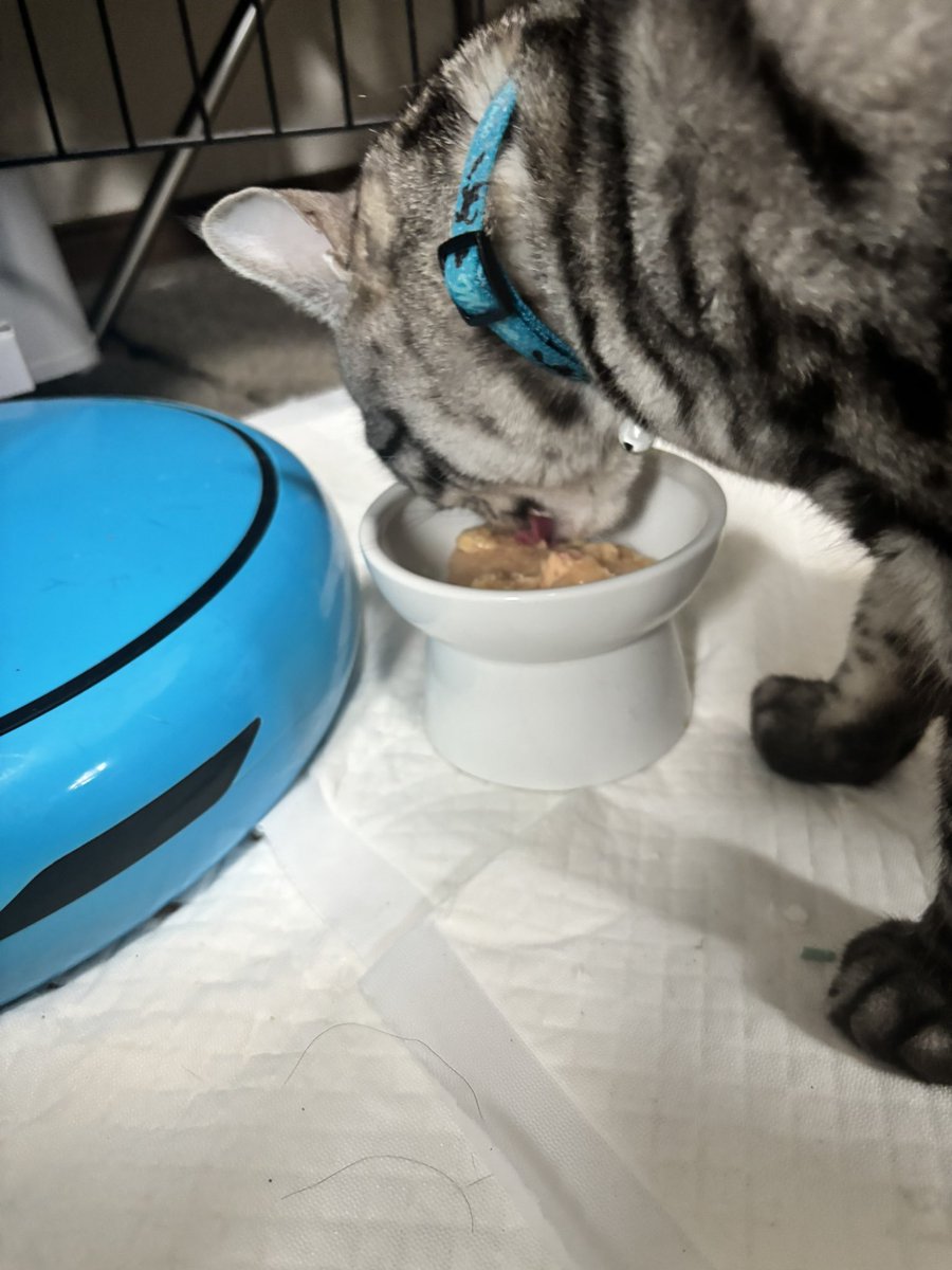 sugisansan tweet media