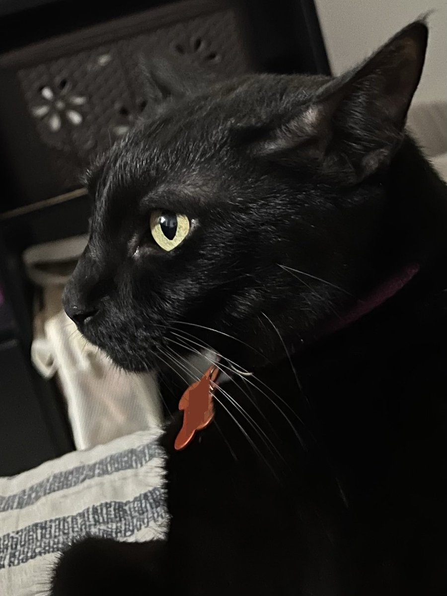 tin 🇨🇴 |-/ tweet media