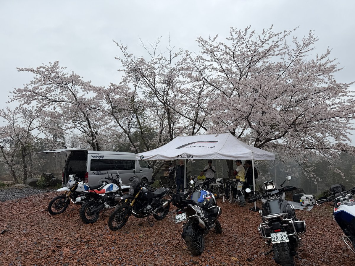 M.S.C.Hara /(株)原サイクル/(Motorrad Koshigaya) tweet media