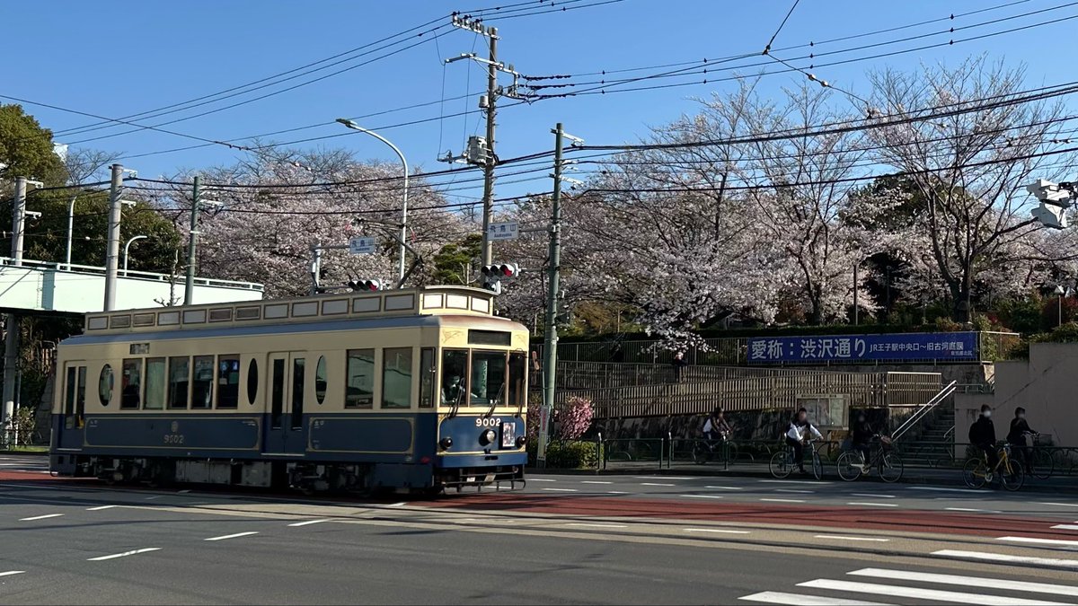 machi_ne_no's tweet photo. 【都電風景】
桜の名所、飛鳥山公園の前を走る都電です。 https://t.co/IIfnpXlFLi