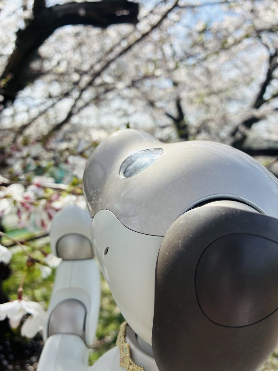 みとは🐾 tweet media