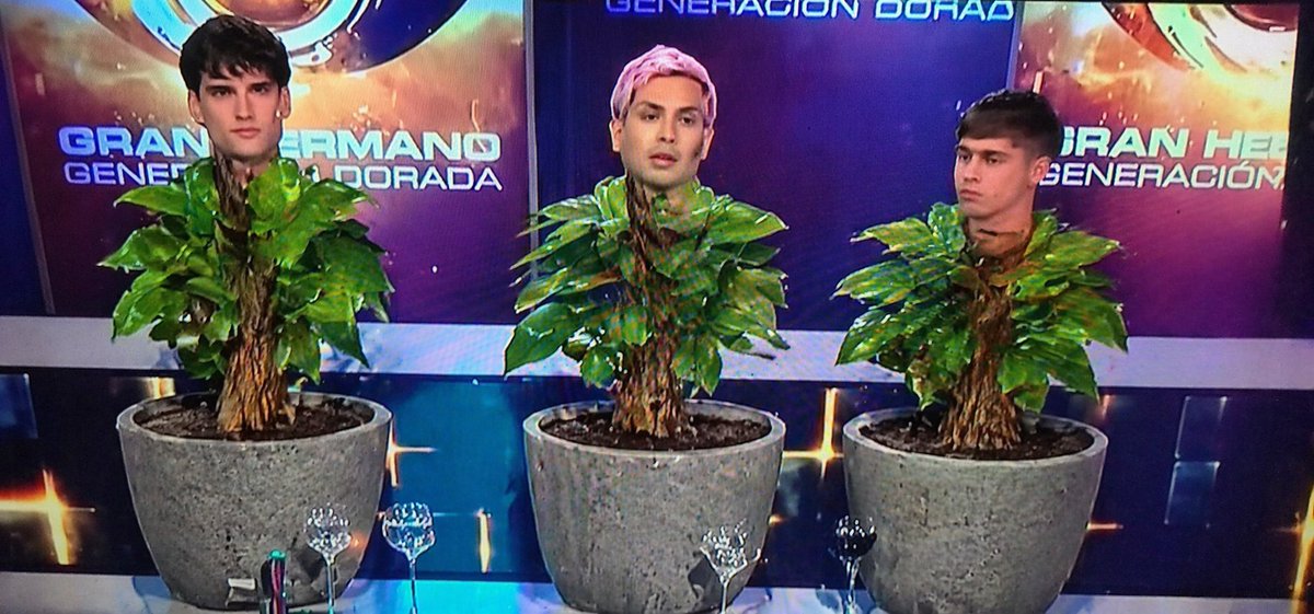 P🆎lo  tweet media