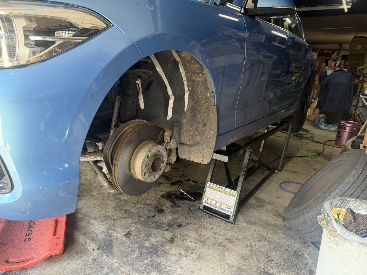 たぬき tweet media