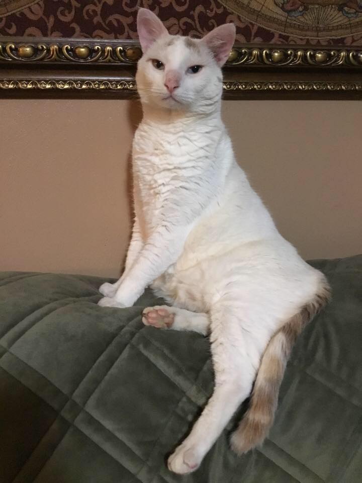 🌸🐣🐰Pamela🐰🐣🌸 tweet media