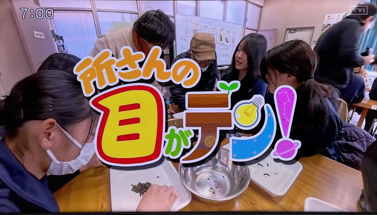 TF_iwate tweet media