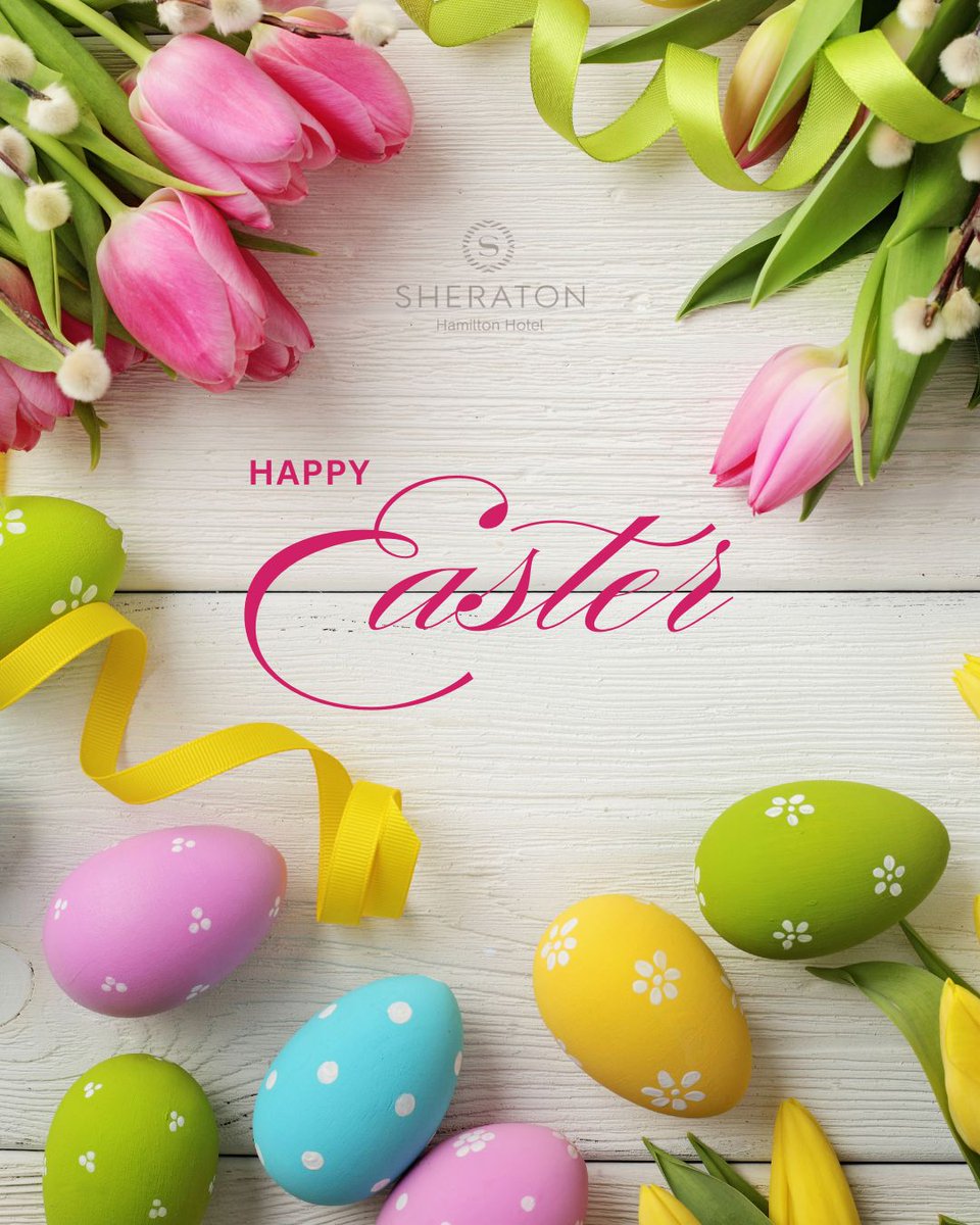 Sheraton Hamilton tweet media