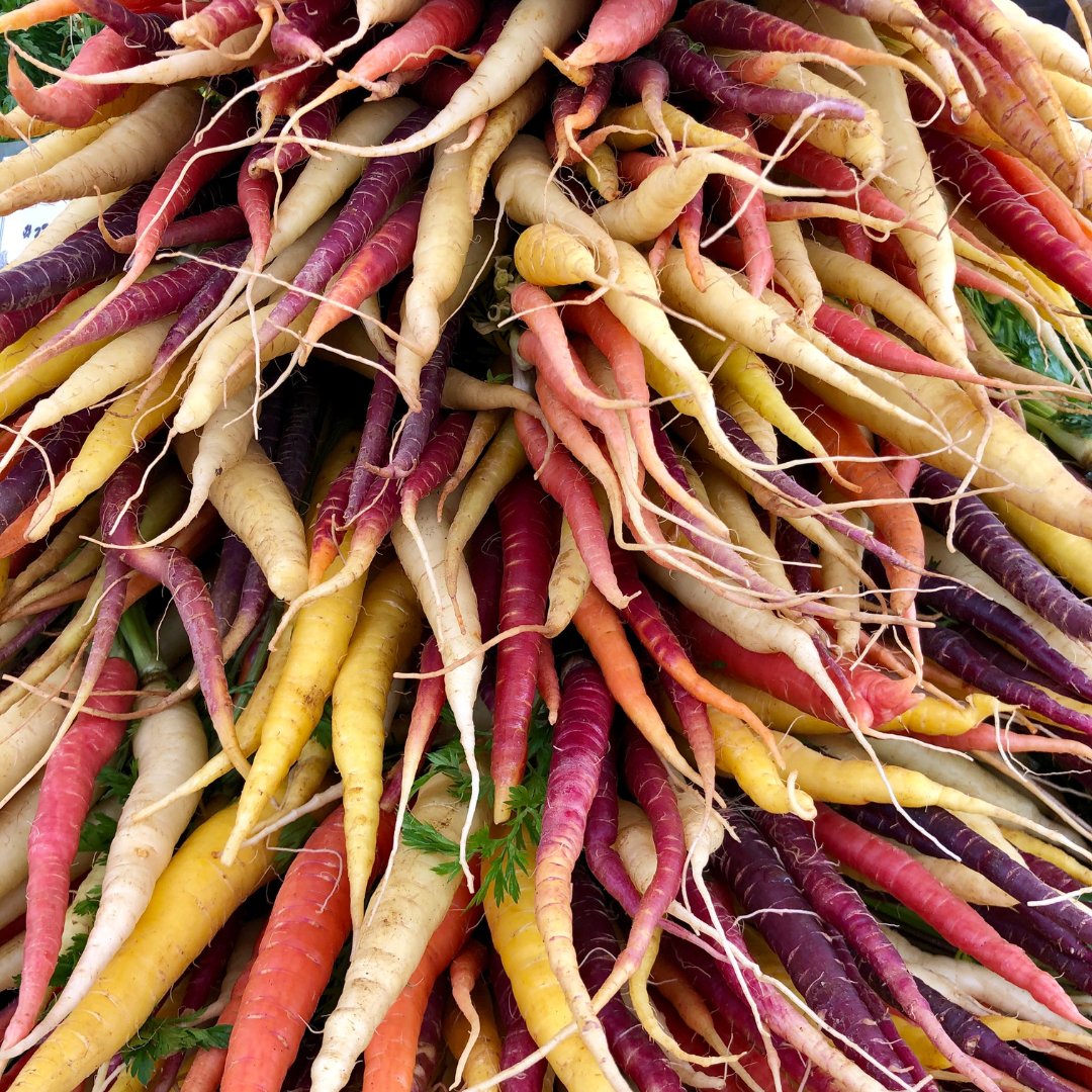 Governor Tina Kotek tweet media