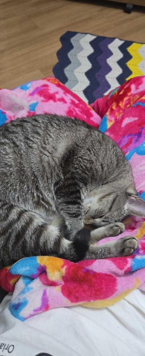 batmonni tweet media