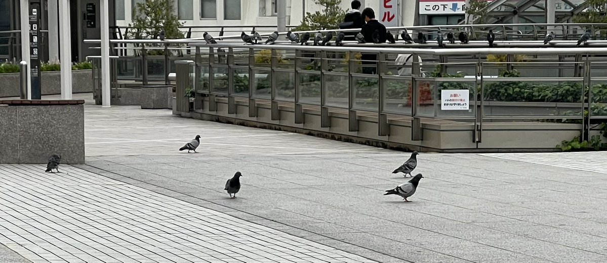 kamimura tweet media