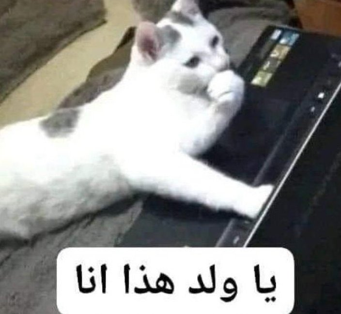 Abdulrahman tweet media