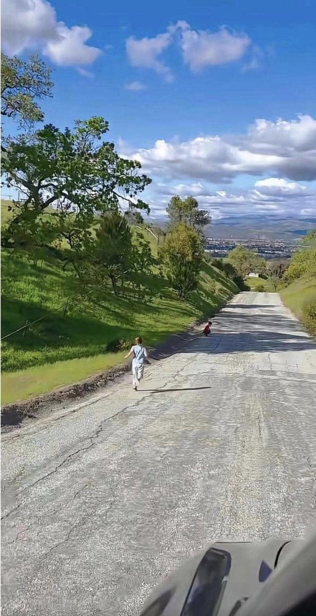 简律（私信互关） tweet media