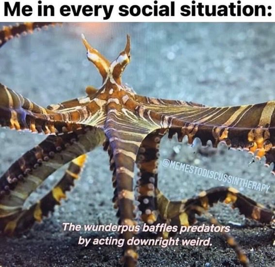 ULTRA Grizzly Biker DAD tweet media