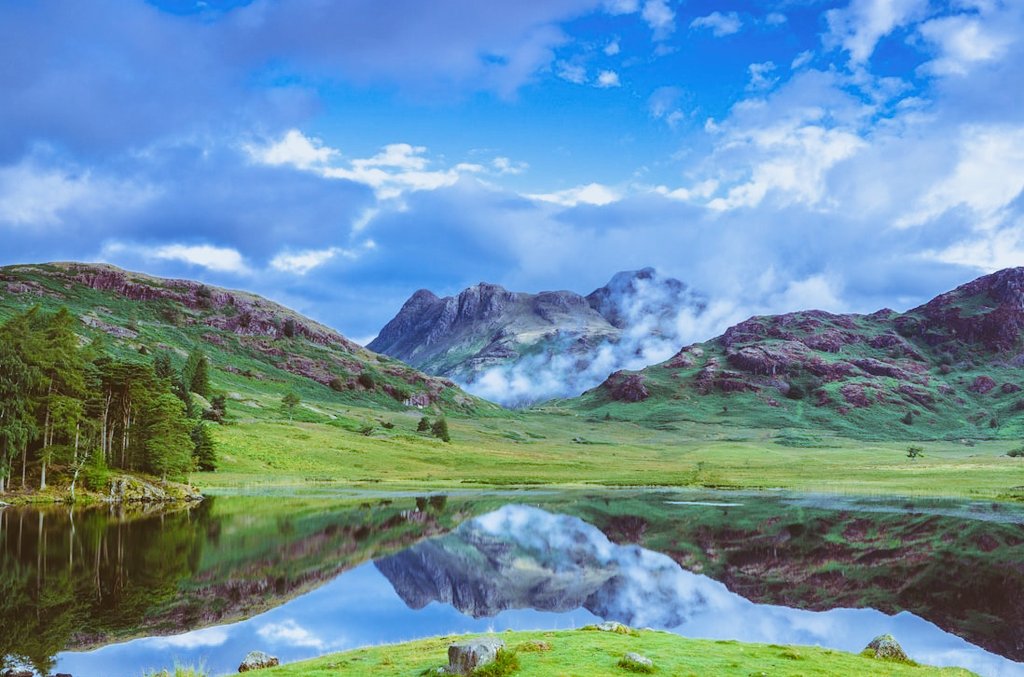 Kamal Khan tweet media