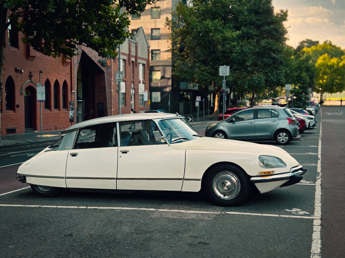 sealyx 💿 tweet media