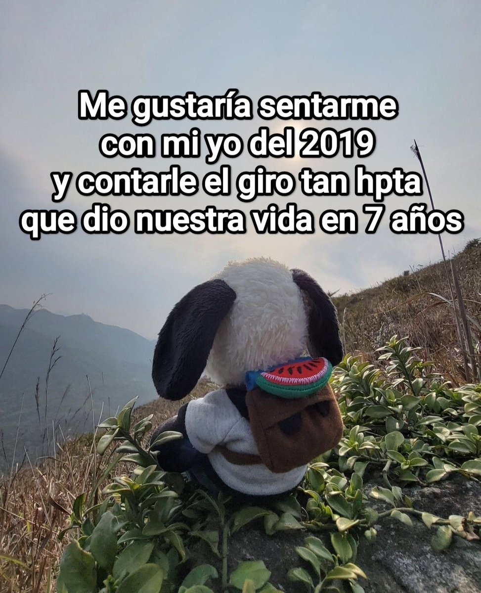 Cap Briagowsky tweet media