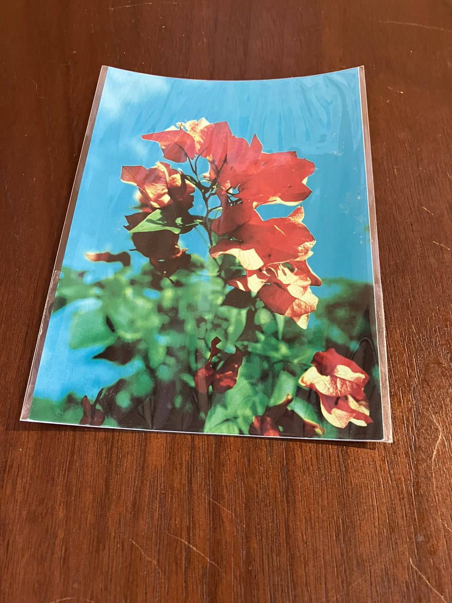 竹富島の雑貨屋🏝若竹丸⛴ tweet media