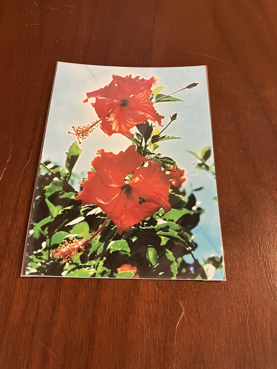 竹富島の雑貨屋🏝若竹丸⛴ tweet media