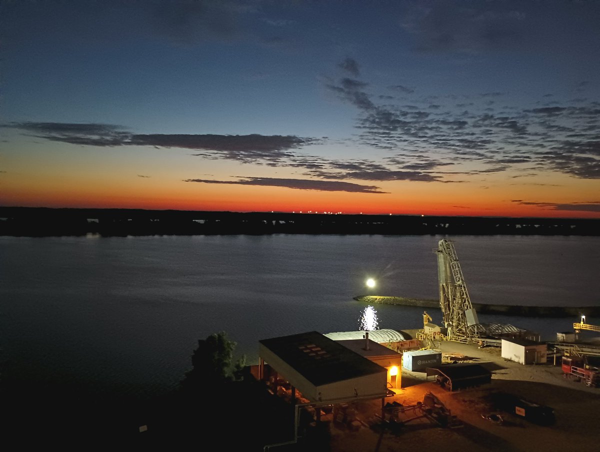 roadkill tweet media