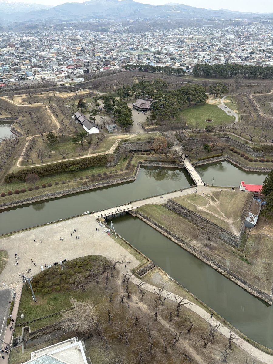 lime🍋🟩 tweet media