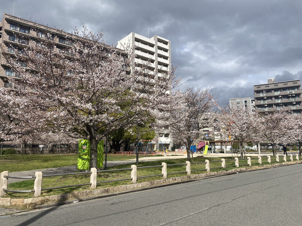 ばがらりー🐙 tweet media