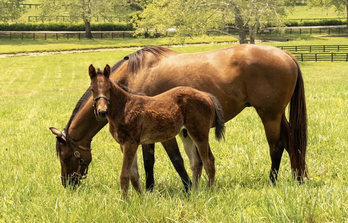 Javier I. Farache tweet media