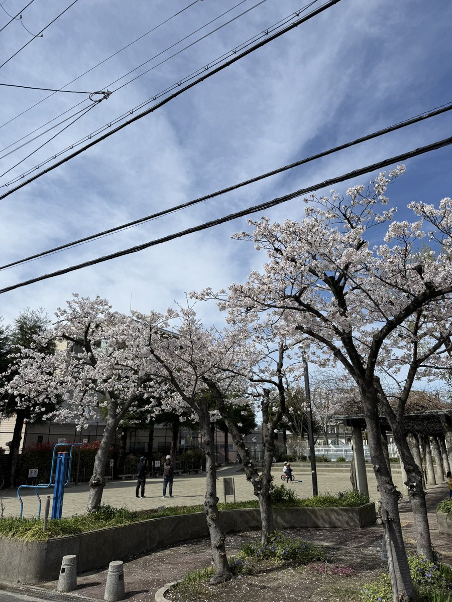 まさやん@しごおわの会 tweet media