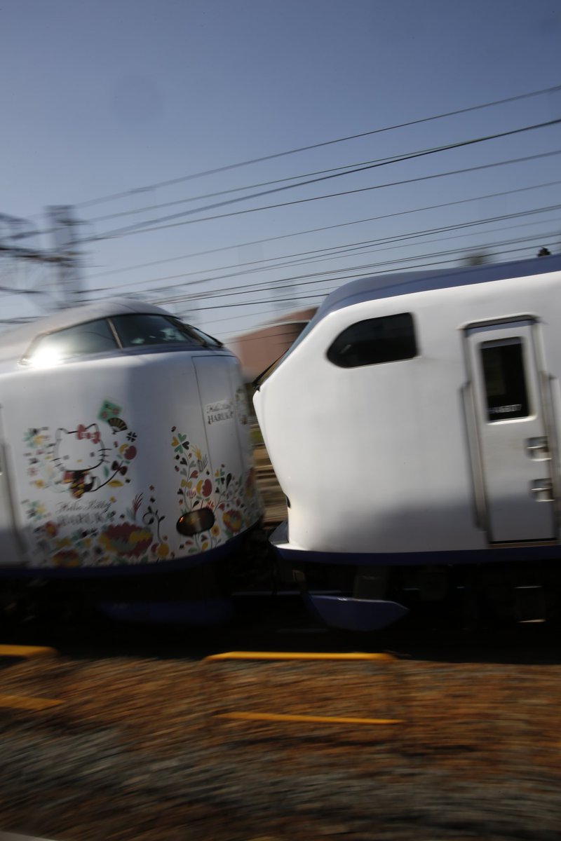 電車の顔 tweet media