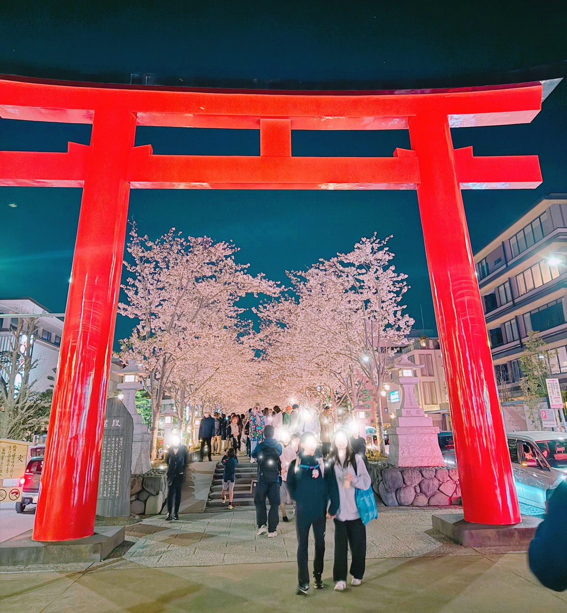 湘南のぽめまる🐾足跡には花束🐾🌸 tweet media