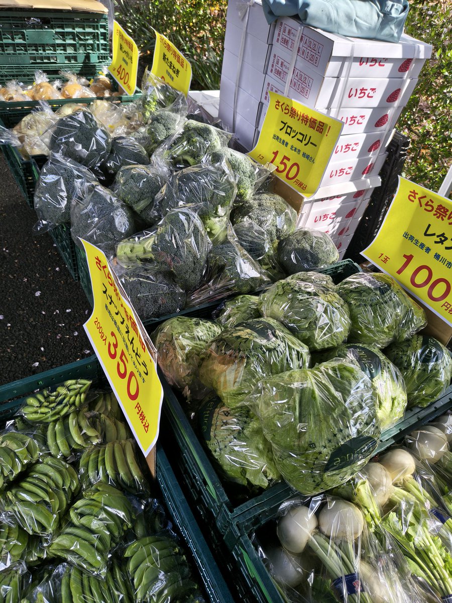 上尾市観光協会 tweet media