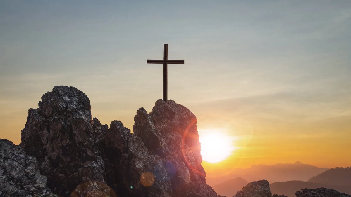 Media Parisien tweet media