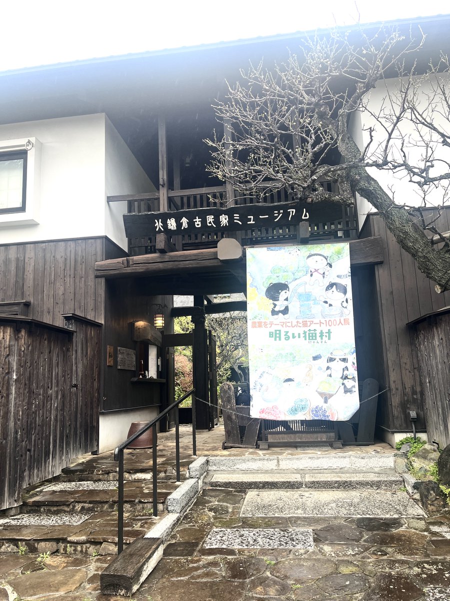 semimalc's tweet photo. 北鎌倉古民家ミュージアムでは、
農業をテーマにした猫アート100人展「明るい猫村」が始まりました！
素晴らしいミュージアムいっぱいに、さまざまな作家の猫が大集合！ https://t.co/RQu76hQw61