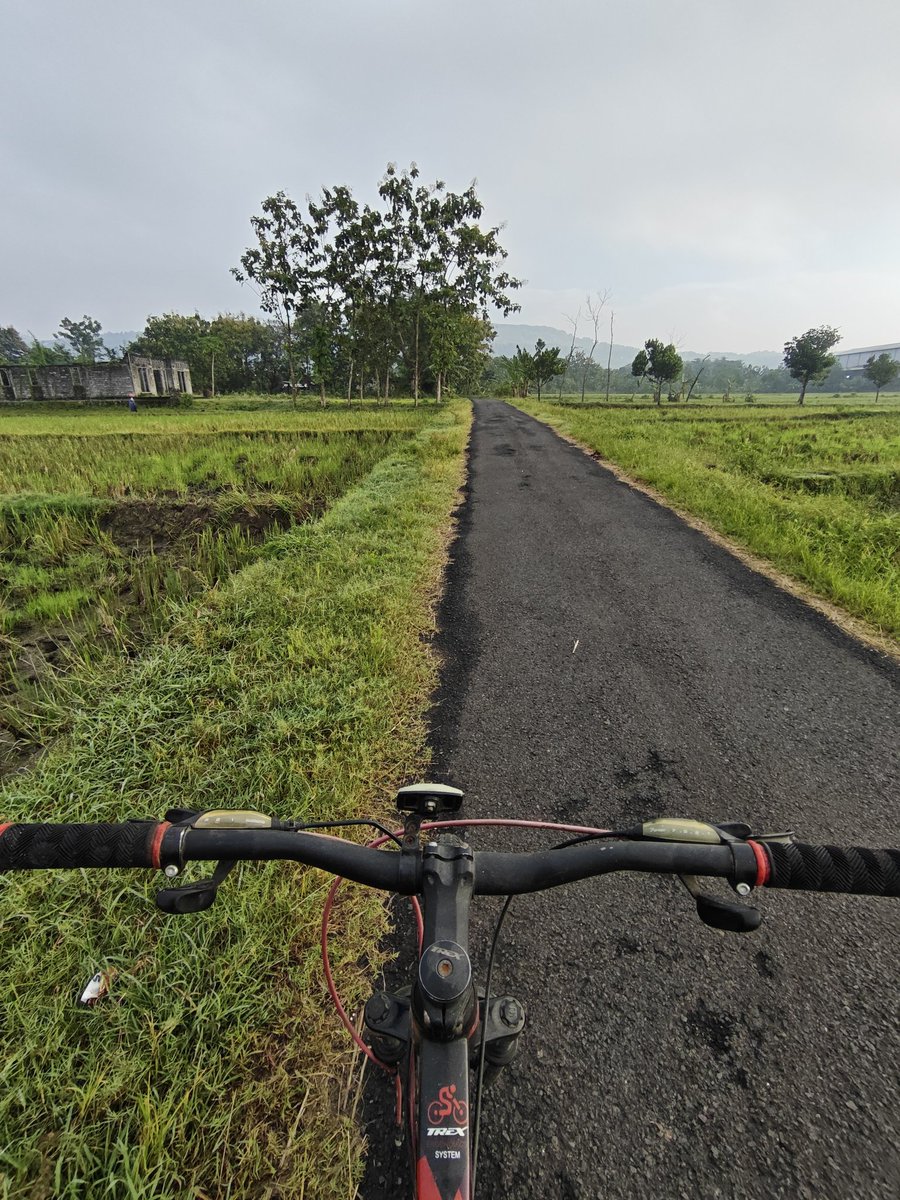 mango cheesecake tweet media
