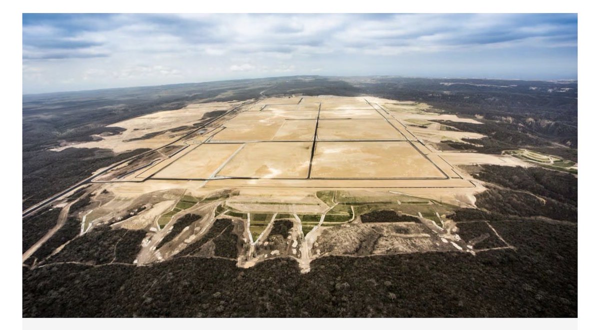 Centella tweet media