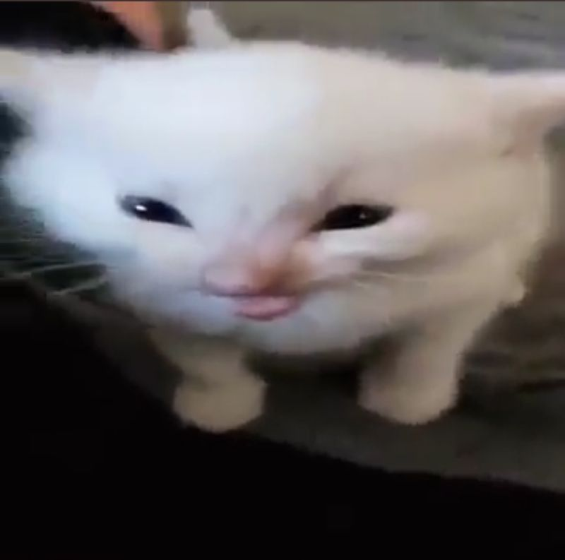 bery-bery-strawbery🍓 ⟭⟬⁷⊙⊝⊜🪭 tweet media