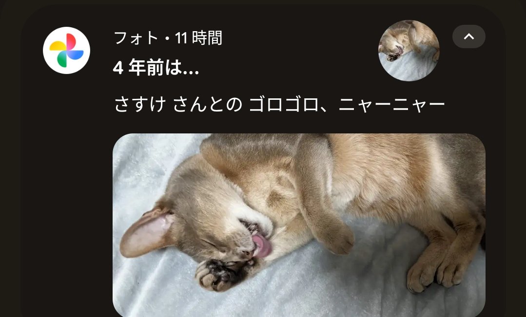 米田タミ🍙 tweet media