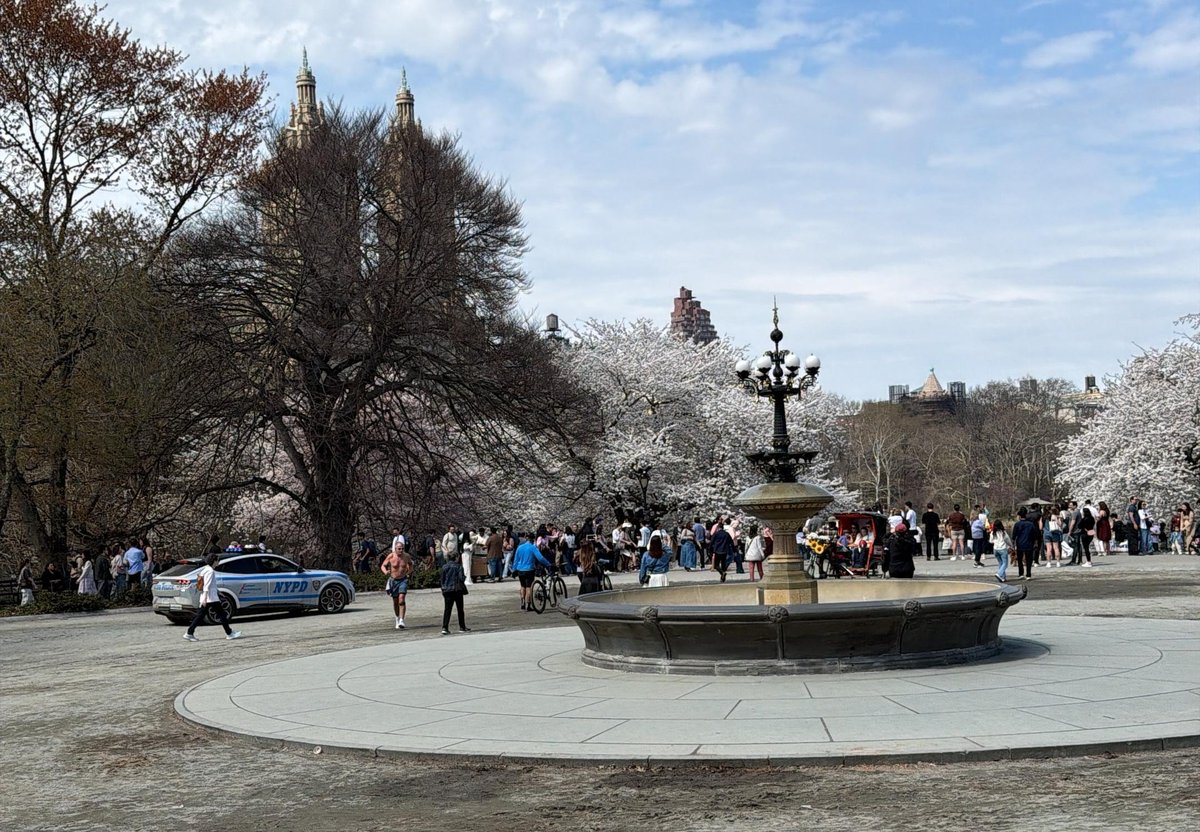 Jill Adamski tweet media