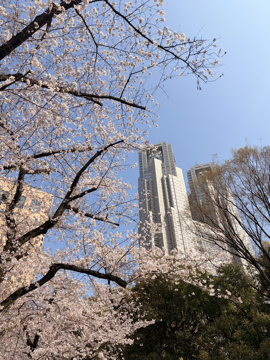 かなざわ|経営者の応援隊長 tweet media