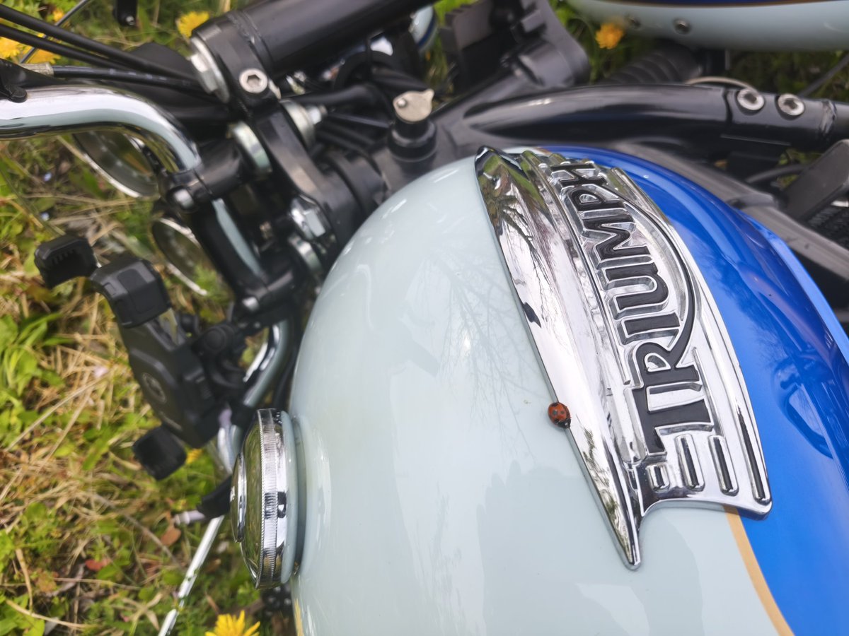 ガトー　終活ライダー tweet media