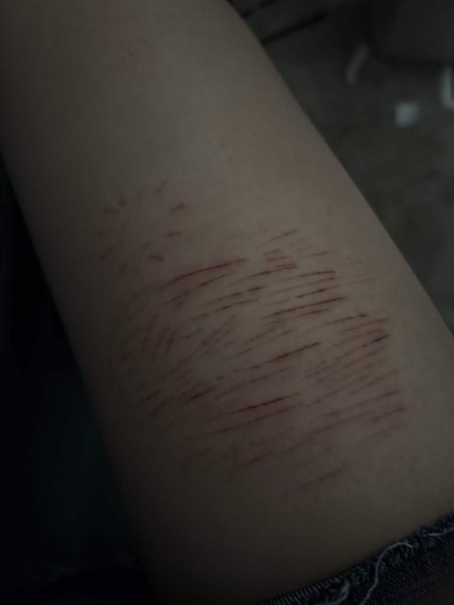 ꒰ᩧׁׅ 𓏼 ̣̣̥ ᥒ᥆ᥱᥣ ֔⏳ tweet media