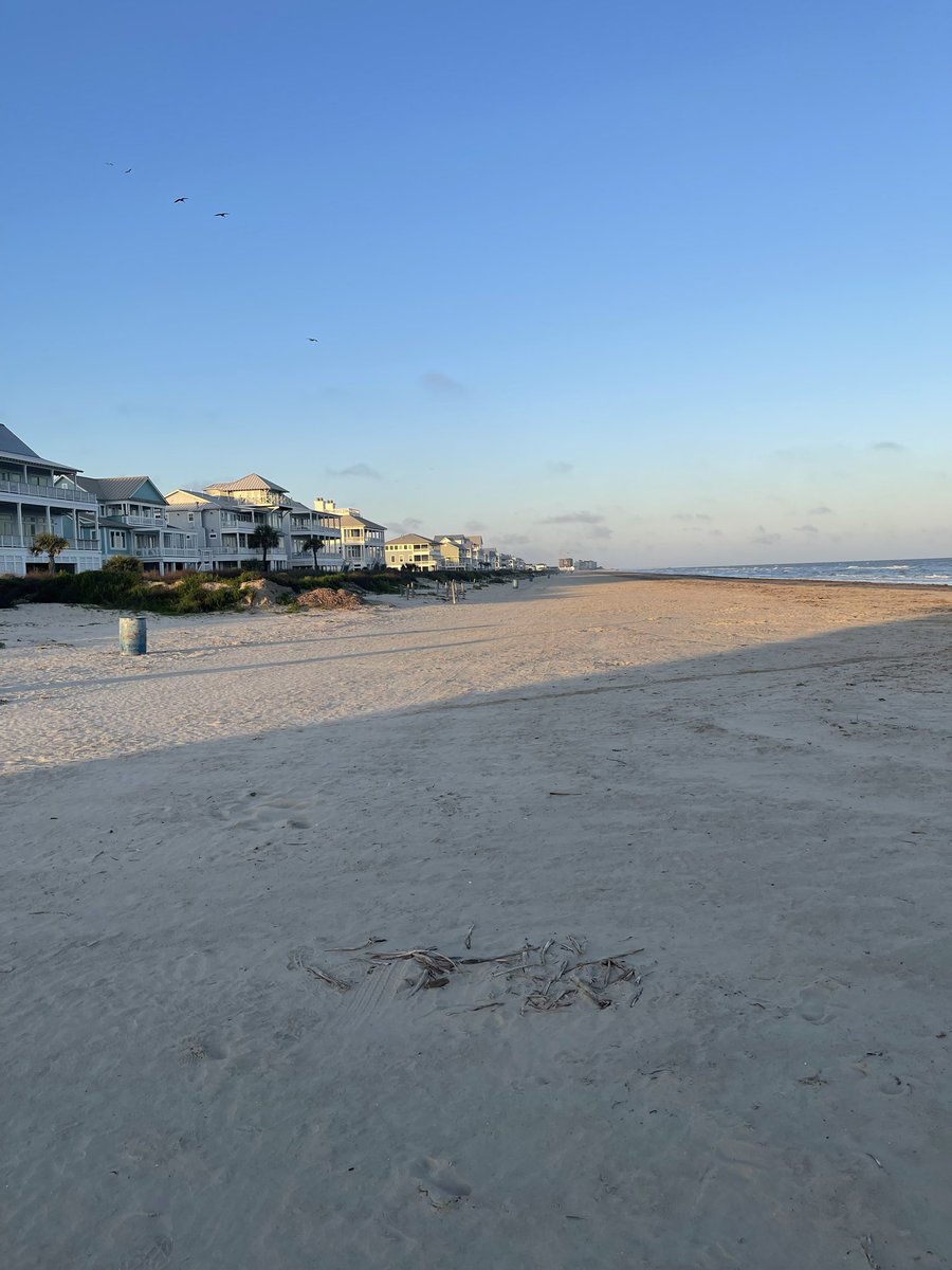 Dustspicable tweet media