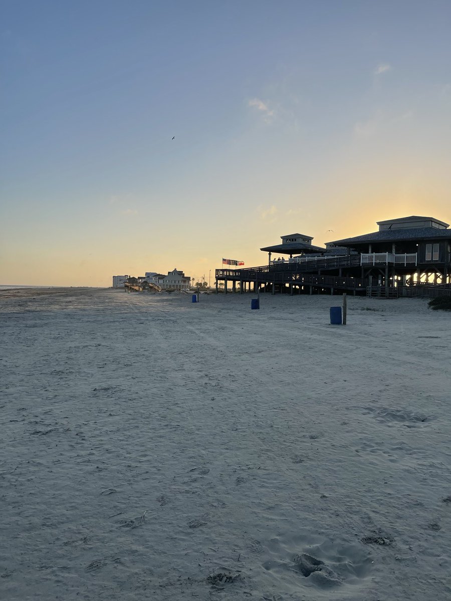 Dustspicable tweet media