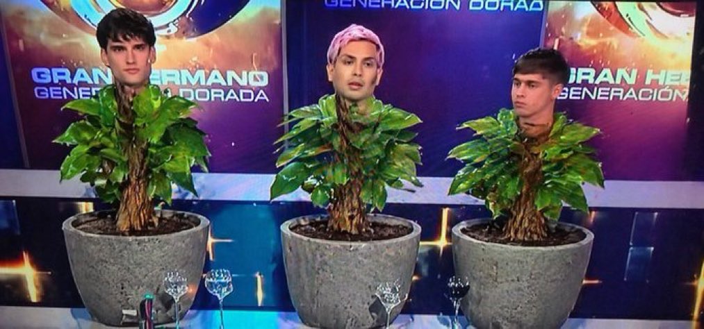 FACTONETA tweet media