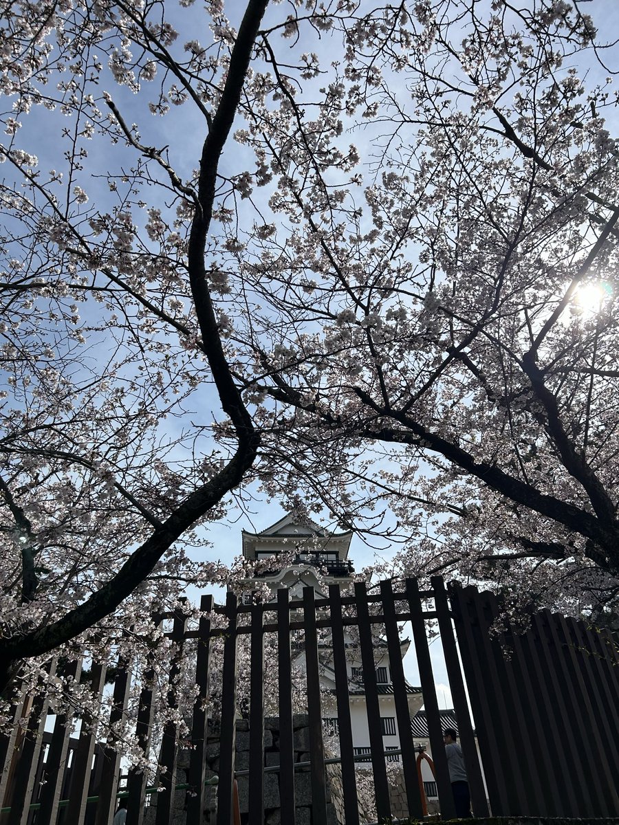 motoki@もっきー@もきパパ tweet media