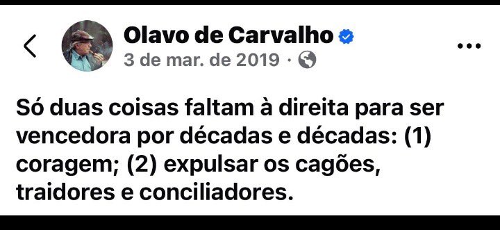 CrisCardozo 🍀🇧🇷💚💛 tweet media