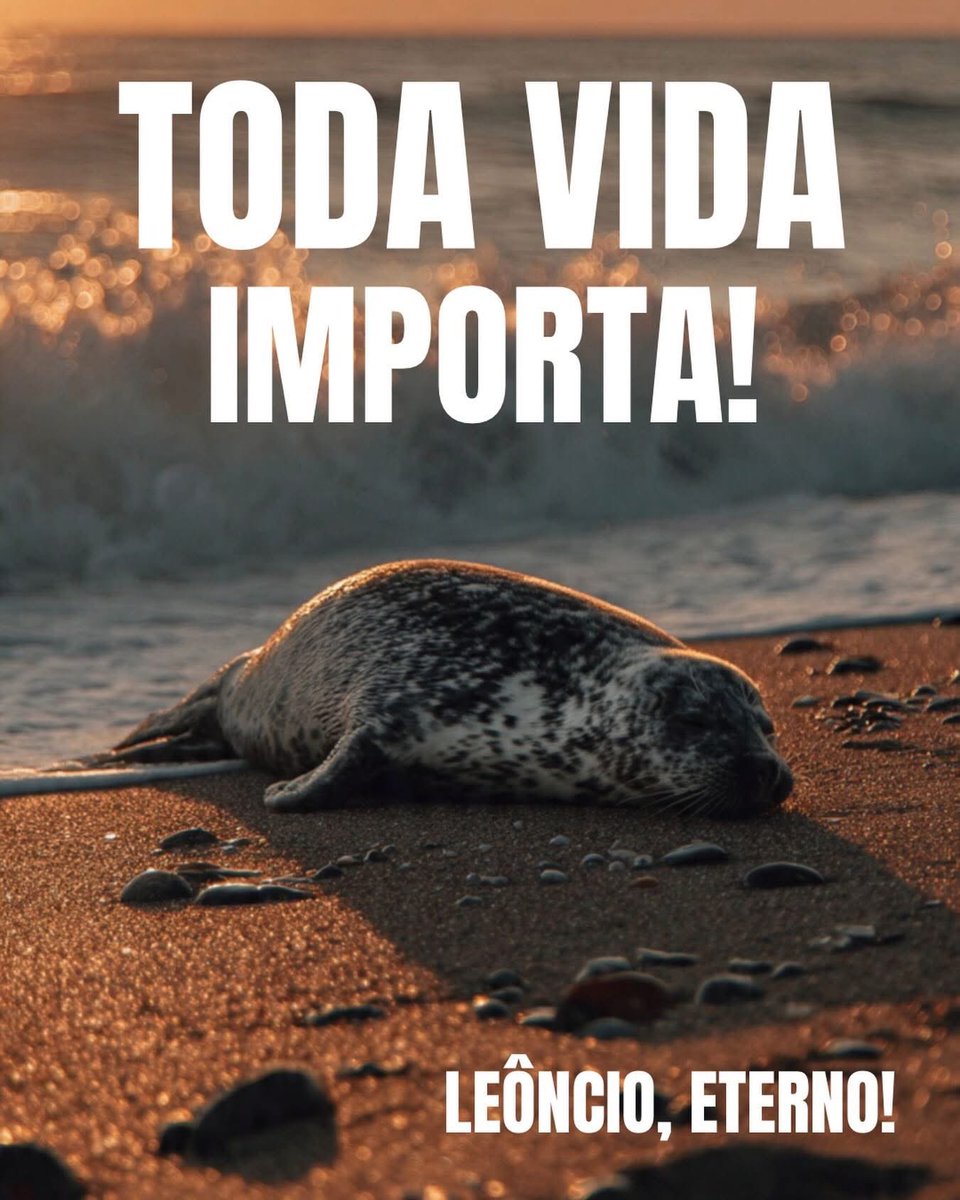 Marco Valverde ® tweet media