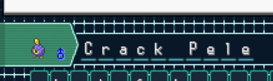 Sonk_Soul tweet media