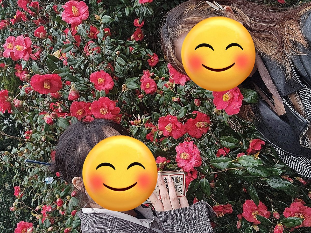 ちろる໒꒱. tweet media