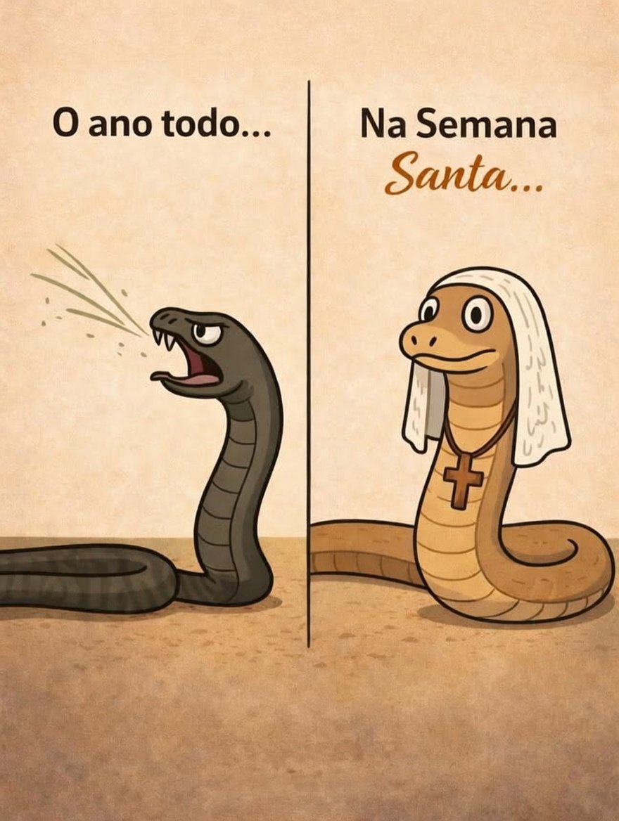 Afrodite tweet media