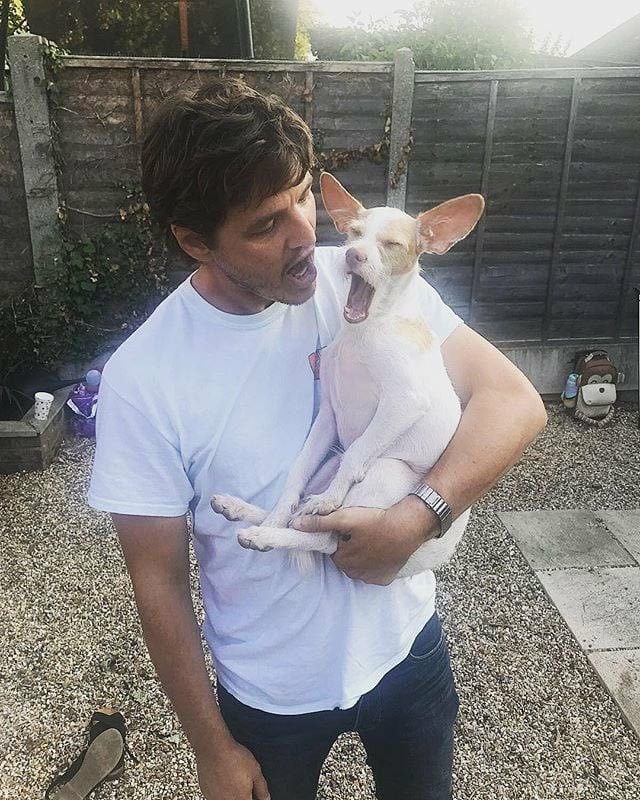 ashley🤍 tweet media